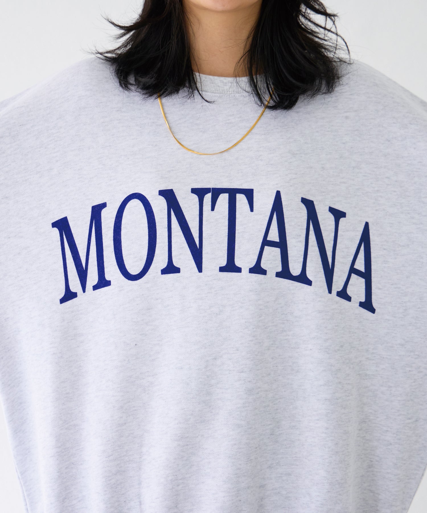 フロントロゴ：MONTANA